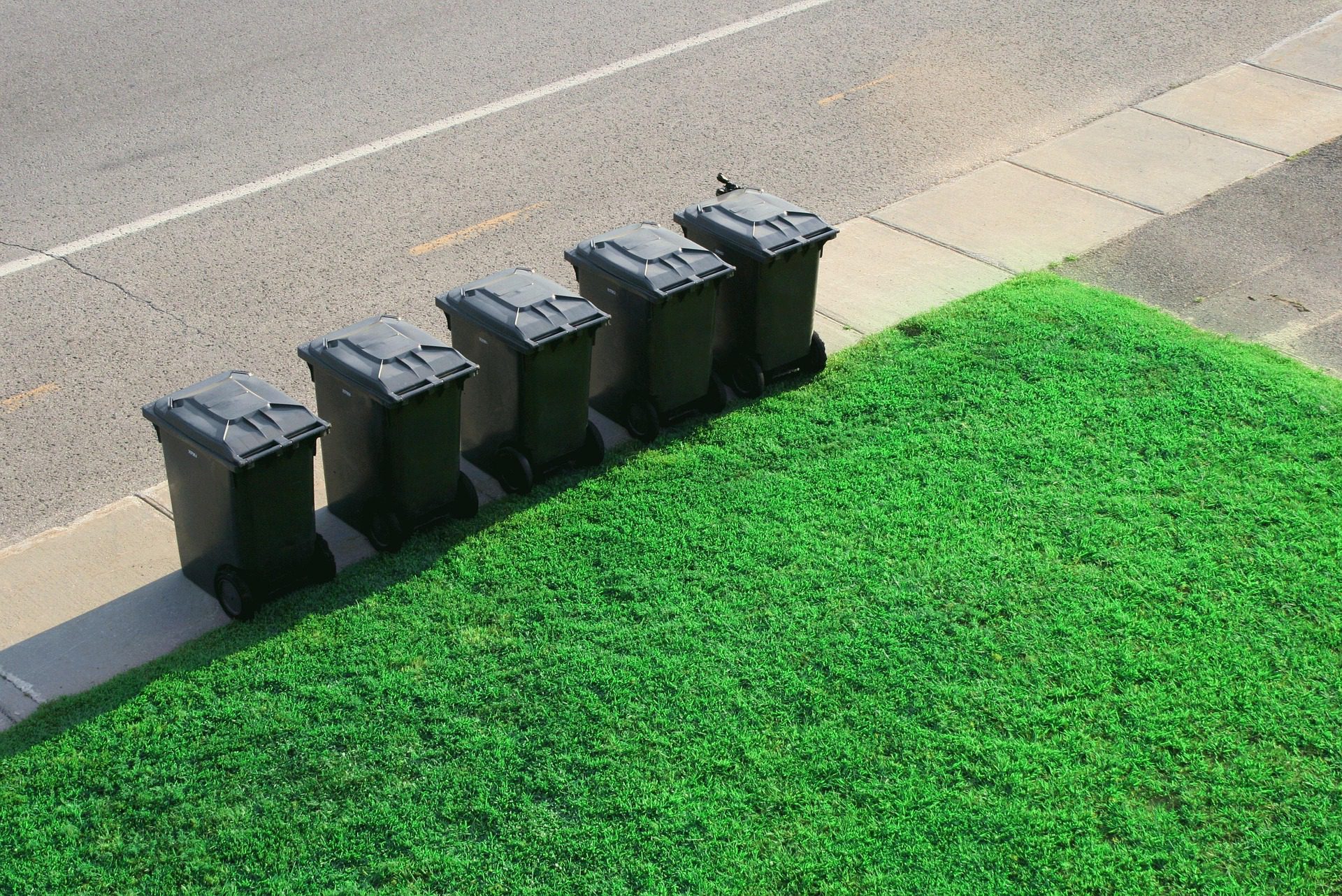 Fünf schwarze Mülltonnen stehen an der Straße vor einer grünen Hecke.