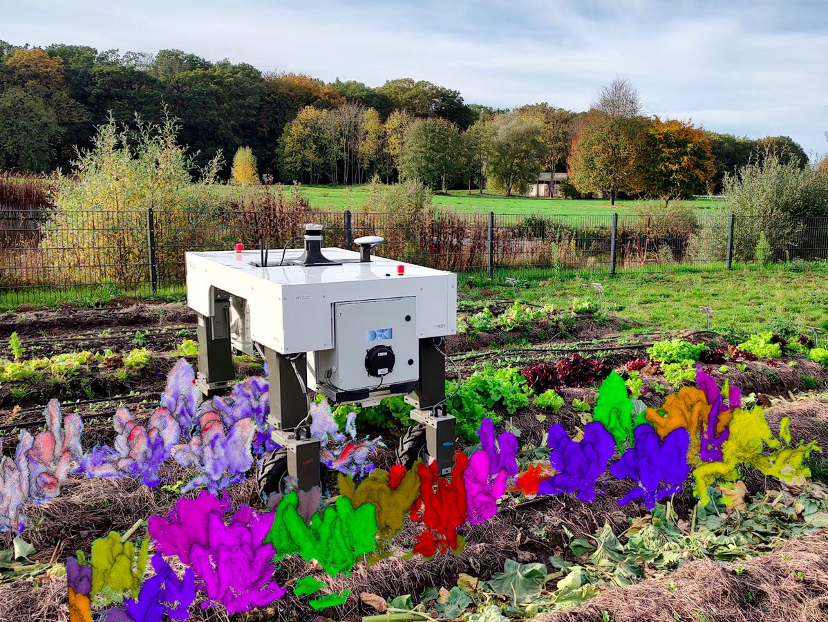 Ein quadratischer Roboter auf vier Rollen steht über einer Gemüsereihe, seine farbigen 3D Scans sind in das Bild montiert.